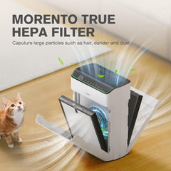 MORENTO MR5866 Genuine Air Purifier Replacement Filter,Original Version