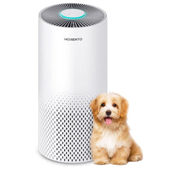 MORENTO KILO Air Purifiers For Home