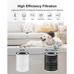 MORENTO KILO H13 Ture HEPA Filter