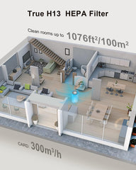 MORENTO KILO Air Purifiers For Home