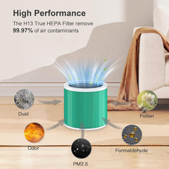 MORENTO HY1800 Genuine Replacement Filter