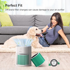 MORENTO HY1800 Genuine Replacement Filter