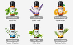 MORENTO Top 6 Aromatherapy Oils Gift Set