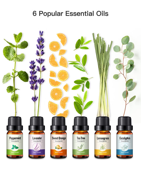 MORENTO Top 6 Aromatherapy Oils Gift Set