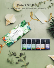 MORENTO Top 6 Aromatherapy Oils Gift Set