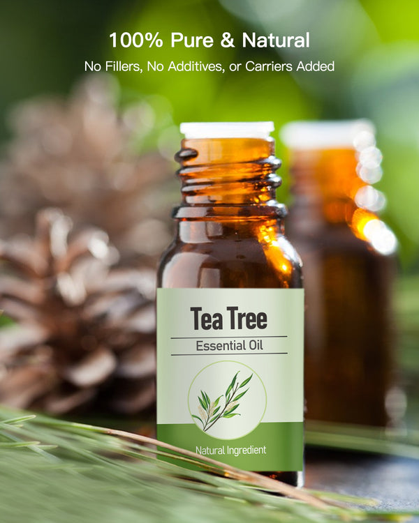 MORENTO Tea Tree Essential Oil