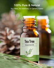 MORENTO Tea Tree Essential Oil