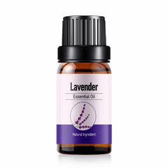 MORENTO Lavender Essential Oil