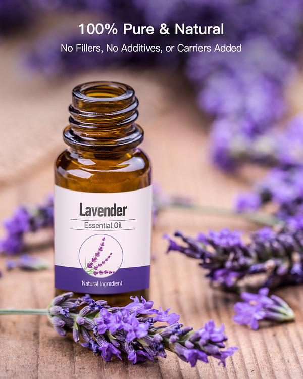 MORENTO Lavender Essential Oil