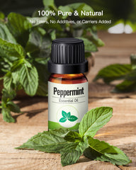 MORENTO Peppermint Essential Oil
